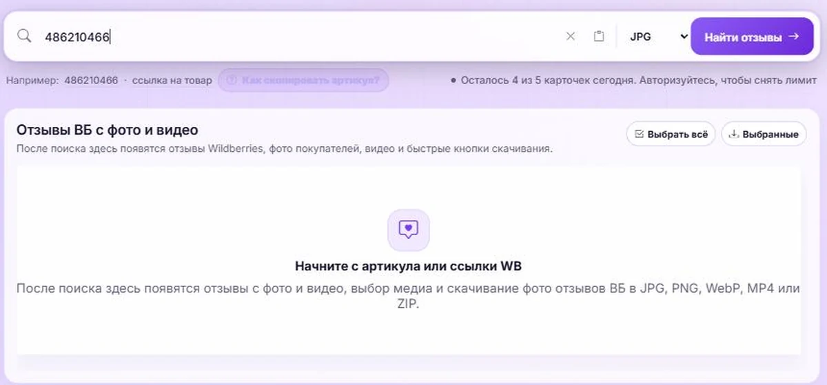 Артикул Wildberries вставлен в поле поиска WBRay