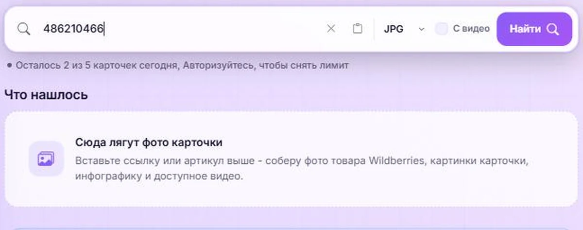 Артикул Wildberries вставлен в поле поиска WBRay